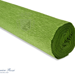 562 Sage Crepe Paper 180g