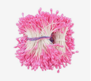 Pink Flower Stamens