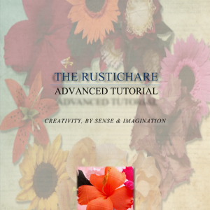 Hibiscus Tutorial