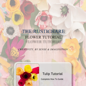 Tulip Tutorial